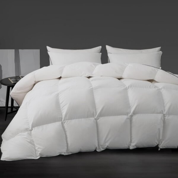 Luxury White Goose Down Comforter - Down and Feather Fiber Core for All Seasons - Duvet Insert Queen Hotel Collection - Soft and Medium Warmth Down Comforter,Queen (90 X 90”)