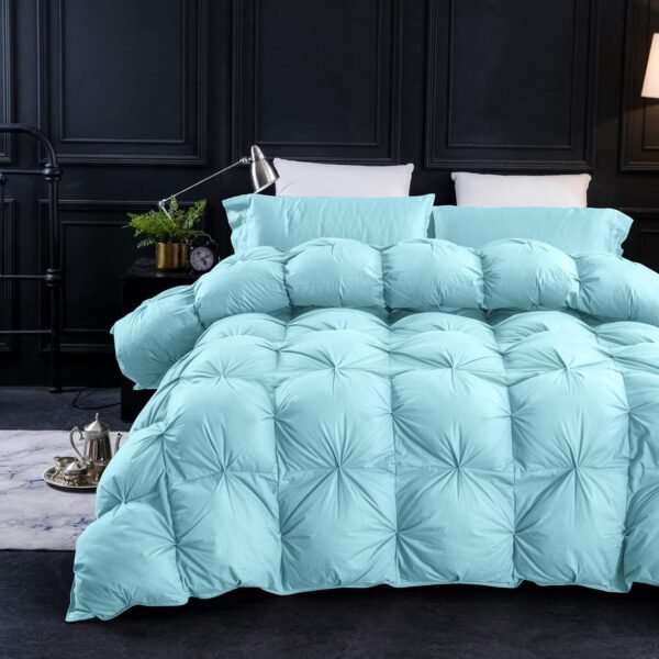 Pinch Pleat Goose Feathers Down Comforter Queen Size Duvet Insert,750+ Fill Power,1200TC 100% Cotton Fabric,Premium Aqua Sky Comforter for All Seasons with 8 Tabs